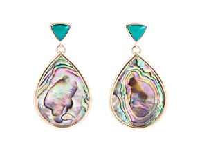 Barse Jewelry Abalone Gold Tone Epiphany Dangle Earrings