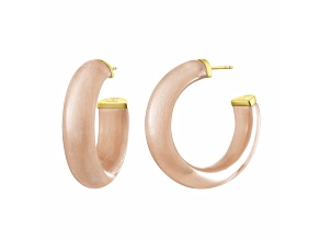 14K Yellow Gold Over Sterling Silver Medium Illusion Lucite Hoops in Caramel