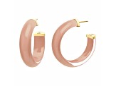 14K Yellow Gold Over Sterling Silver Medium Illusion Acrylic Hoops in Dusty