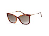Jimmy Choo Women's 55mm Havana Sunglasses | MACIS-86-HA