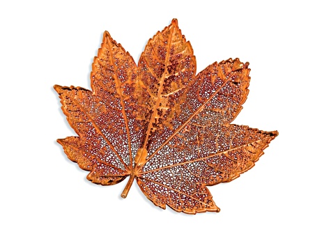 Iridescent Copper Dipped Full Moon Maple Leaf Pin Brooch