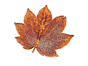 Iridescent Copper Dipped Full Moon Maple Leaf Pin Brooch