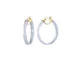 14K Yellow Gold Over Sterling Silver With Silver Color Glitter Clear Acrylic Hoops