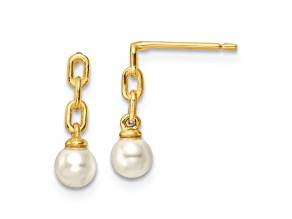 14k Yellow Gold Polished Acrylic Bead Dangle Earrings