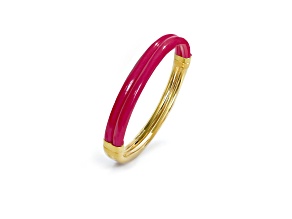 14K Gold Over Brass Pink Flamingo Ridge Acrylic Hinge Bangle