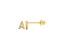 14k Yellow Gold Initial Earrings -A