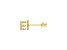 14k Yellow Gold Initial Earrings -E