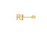 14k Yellow Gold Initial Earrings -R