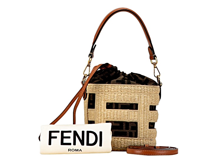 FENDI Step Out Bucket Bag Mini Canvas and Leather Zucca FF