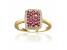 Ruby and Moissanite 14K Yellow Gold Over Sterling Silver Rectangle Cluster Ring