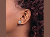 14K White Gold Diamond Snowflake Earrings