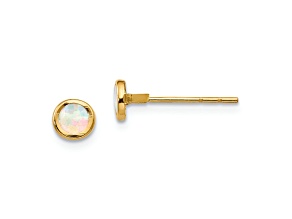 14k Yellow Gold 6mm Polished Lab Created Opal Bezel Stud Earrings