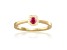 14K Yellow Gold Over Sterling Silver Round Ruby and Moissanite Halo Ring