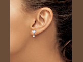 Sterling Silver Rhodium-plated CZ Heart Post Dangle Earrings