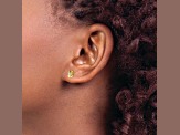 14k Yellow Gold 7mm Flower Cubic Zirconia Stud Earrings