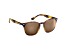 Flying Fisherman Muriel Polarized Sunglasses Tortoise Frame/Amber Lens