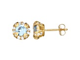 Round Lab Created Spinel 10K Yellow Gold Stud Earrings 1.00ctw