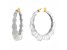 14K Yellow Gold Over Sterling Silver Acrylic and Hand Painted Enamel Bamboo Illusion Hoops in Pixi