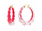 14K Yellow Gold Over Sterling Silver Acrylic and Hand Painted Enamel Bamboo Illusion Hoops in Pink