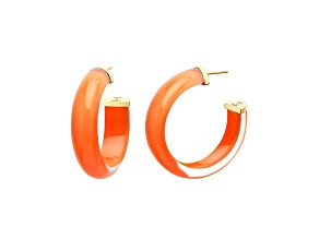 14K Yellow Gold Over Sterling Silver Small Illusion Lucite Hoop Earrings in Orange