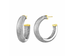 14K Yellow Gold Over Sterling Silver Small Illusion Lucite Hoop Earrings in Pixi