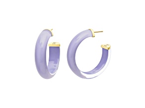 14K Yellow Gold Over Sterling Silver Small Illusion Lucite Hoop Earrings in Lavender
