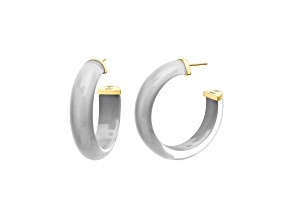 14K Yellow Gold Over Sterling Silver Small Illusion Lucite Hoop Earrings in Gray