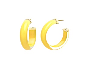 14K Yellow Gold Over Sterling Silver Small Illusion Lucite Hoop Earrings in Yellow