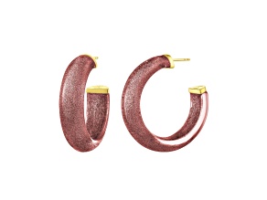 14K Yellow Gold Over Sterling Silver Small Illusion Lucite Hoop Earrings in Cocoa