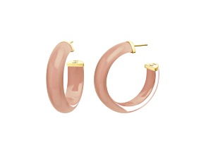 14K Yellow Gold Over Sterling Silver Small Illusion Lucite Hoop Earrings in Dusty