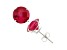 Red Lab Created Ruby 10K White Gold Stud Earrings 4.60ctw
