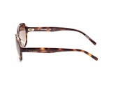 Calvin Klein Men's 56mm Brown Sunglasses