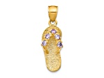 14k Yellow Gold Textured 3D February Cubic Zirconia Birthstone Flip Flop Pendant