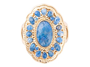 Barse Jewelry Concho Denim Blue Lapis Lazuli Gold Tone Ring