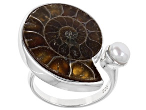 Ammonite Shell And Cultured Freshwater Pearl Oxidized Sterling Silver Ring