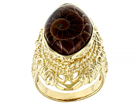 Ammonite Shell 18k Yellow Gold Over Sterling Silver Ring