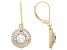 Cubic Zirconia 18k Yellow Gold Over Silver Earrings 3.32ctw