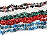 Multi-Color Assorted Gemstone Set of 5 Endless Strand Chip Necklaces