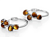 Brown Tigers Eye Rhodium Over Sterling Silver Hoop Earrings