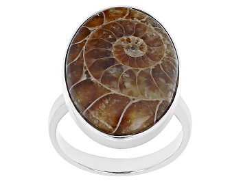 Picture of Brown Ammonite Shell Rhodium Over Sterling Silver Solitaire Ring