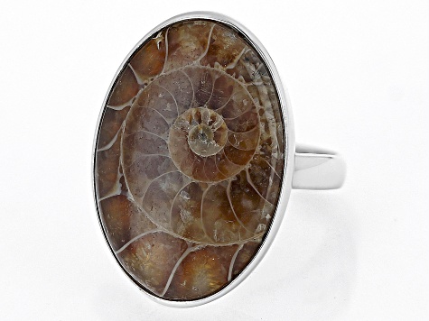 Brown Ammonite Shell Rhodium Over Sterling Silver Solitaire Ring