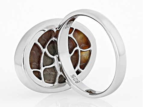 Brown Ammonite Shell Rhodium Over Sterling Silver Solitaire Ring