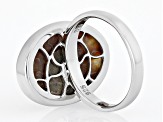 Brown Ammonite Shell Rhodium Over Sterling Silver Solitaire Ring