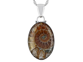 Brown Ammonite Shell Rhodium Over Sterling Silver Solitaire Pendant With Chain
