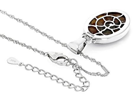 Brown Ammonite Shell Rhodium Over Sterling Silver Solitaire Pendant With Chain