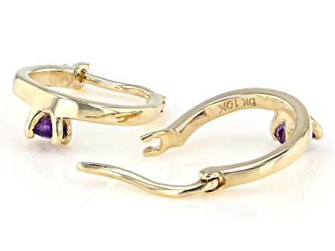Purple Amethyst 10k Yellow Gold Child's Hoop Earrings .07ctw