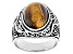 Brown Tigers Eye Stainless Steel Celtic Mens Ring