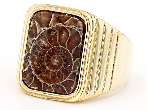 Brown Ammonite 18K Yellow Gold Over Sterling Silver Solitaire Mens Ring