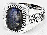 Gray Labradorite Rhodium Over Sterling Silver Men's Ring