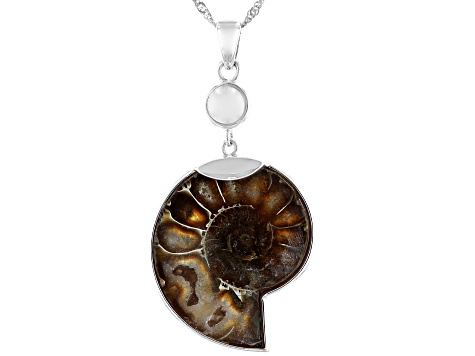 Brown Ammonite Shell Sterling Silver Pendant with Chain